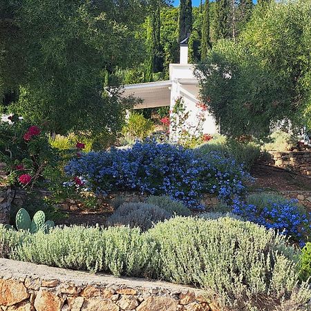 Villa Buras Skinária Zewnętrze zdjęcie