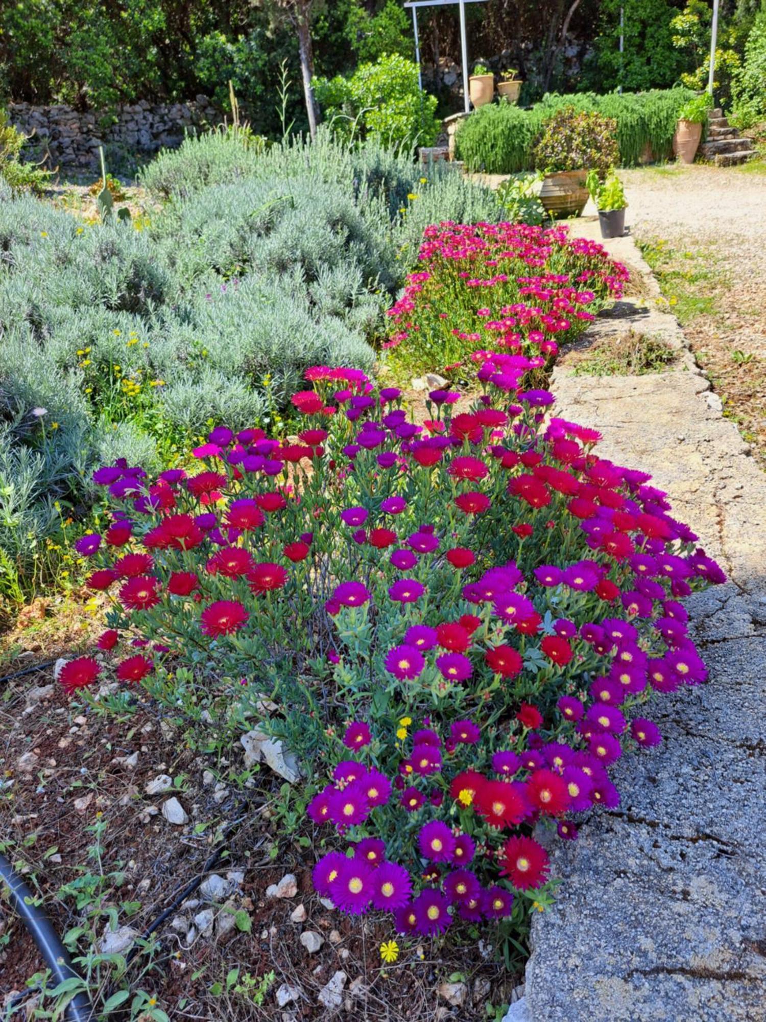 Villa Buras Skinária Zewnętrze zdjęcie
