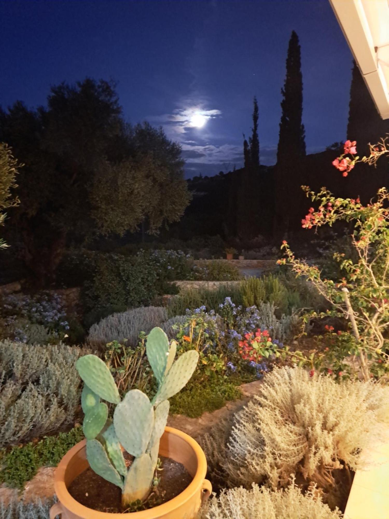 Villa Buras Skinária Zewnętrze zdjęcie